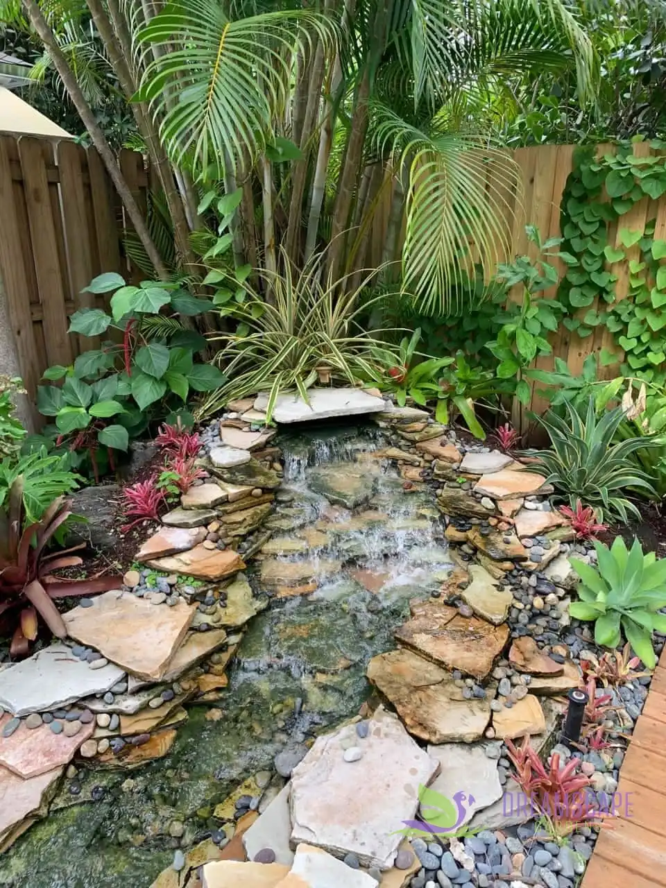 Planting installed by Dreamscape Gardens in a South Florida garden
