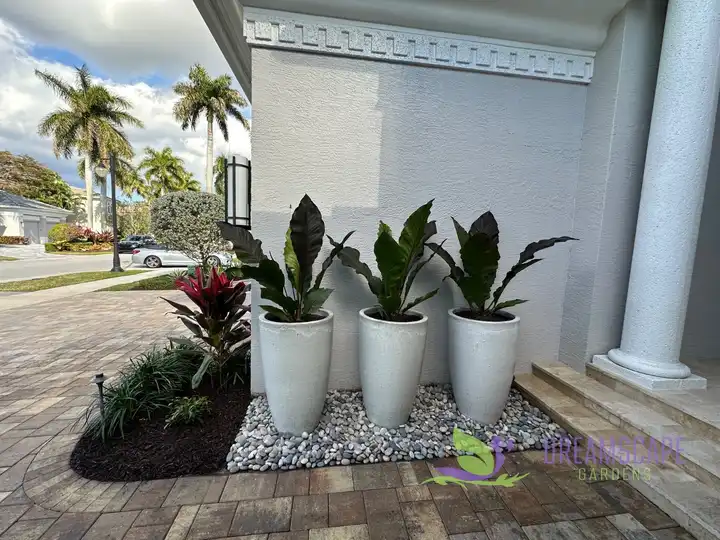 Front entry pots